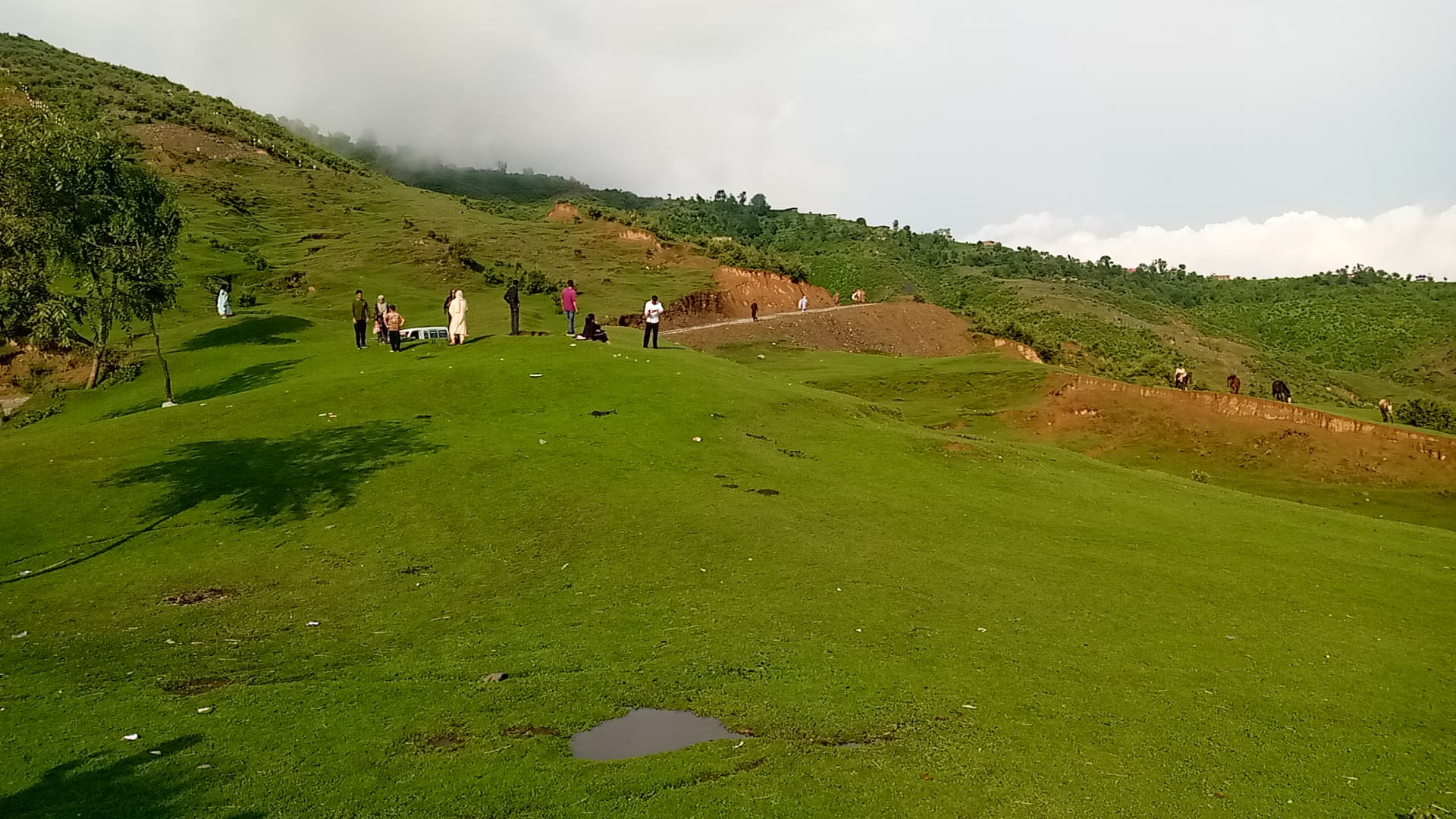 'Valleys of Budhal: J&K’s Overlooked Paradise Waiting to Shine Untouched Splendor in Rajouri’s Budhal Beckons Tourism Attention'